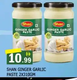 Al Madina SHAN Garlic Paste offer