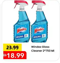 Mark & Save WINDEX Glass Cleaner offer
