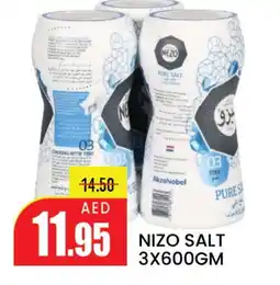 Mango Hypermarket LLC NEZO Salt offer