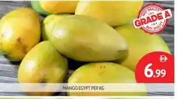 Bigmart Mango Mangoes offer