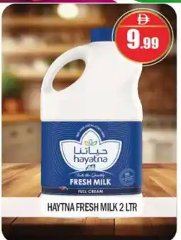 Bigmart HAYATNA Full Cream Milk offer