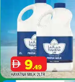 Al Madina HAYATNA Fresh Milk offer