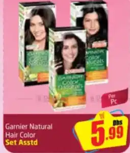 Delta Centre Garnier Natural Hair Color Set Asstd offer