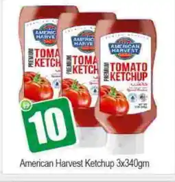 Bigmart AMERICAN HARVEST Tomato Ketchup offer
