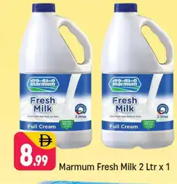 Shaklan MARMUM Full Cream Milk offer
