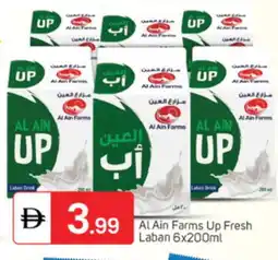 Talal Market AL AIN Laban offer
