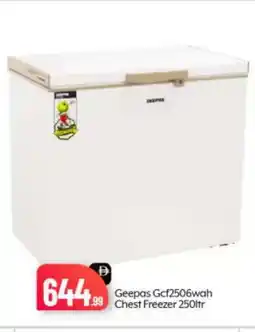 Bigmart GEEPAS Freezer offer