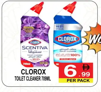 Friday Center CLOROX Toilet / Drain Cleaner offer