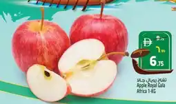 Safari Hypermarket Apple Royal Gala Africa offer