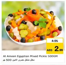 Nesto AL AMEEN Pickle offer