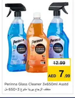 Nesto PERINNA Glass Cleaner offer