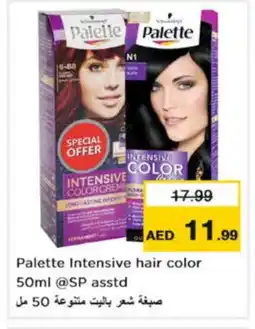 Nesto PALETTE Hair Colour offer