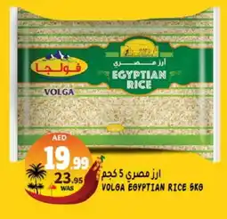 Hashim Hypermarket VOLGA Egyptian / Calrose Rice offer