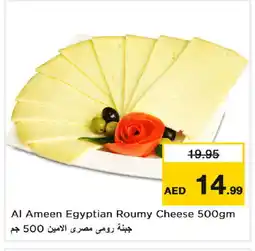 Last Chance AL AMEEN Roumy Cheese offer