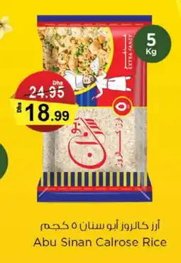 Nesto SINAN Egyptian / Calrose Rice offer