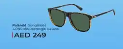 Lulu Hypermarket Polaroid Sunglasses 41785 086 Rectangle Havana offer