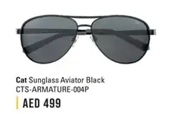 Lulu Hypermarket Cat Sunglass Aviator Black CTS-ARMATURE-004P offer