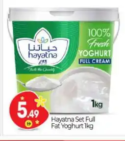 Bigmart HAYATNA Yoghurt offer