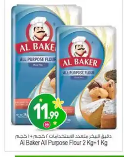 Bigmart AL BAKER All Purpose Flour offer