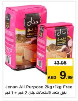 Nesto JENAN All Purpose Flour offer