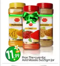 Bigmart PRAN Spices / Masala offer