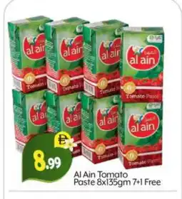 Bigmart AL AIN Tomato Paste offer