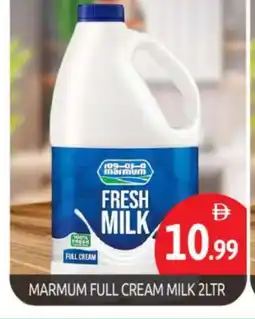Bigmart MARMUM Full Cream Milk offer