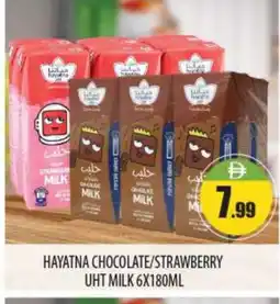 Bigmart HAYATNA Long Life / UHT Milk offer