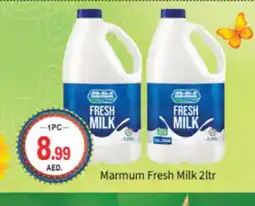 Talal Market MARMUM Fresh Milk offer