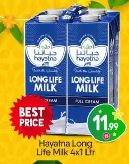 Bigmart HAYATNA Full Cream Milk offer