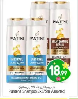 Bigmart PANTENE Shampoo / Conditioner offer