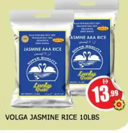 Al Madina VOLGA Jasmine Rice offer