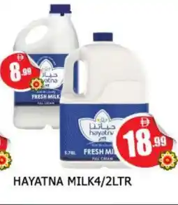 Al Madina HAYATNA Fresh Milk offer