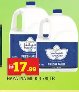 Al Madina HAYATNA Fresh Milk offer
