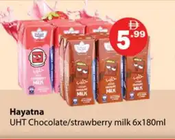 Gulf Hypermarket HAYATNA Long Life / UHT Milk offer