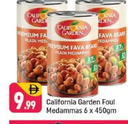Shaklan CALIFORNIA GARDEN Fava Beans offer