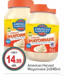 Talal Market AMERICAN HARVEST Mayonnaise offer