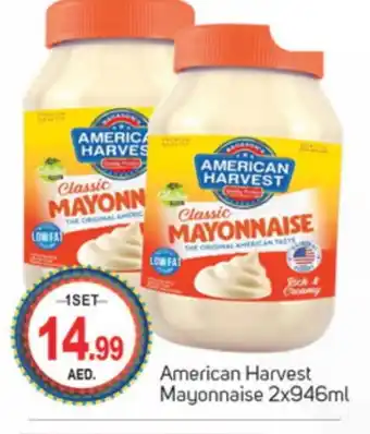 Talal Market AMERICAN HARVEST Mayonnaise offer