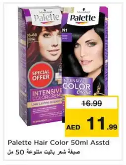 Nesto PALETTE Hair Colour offer