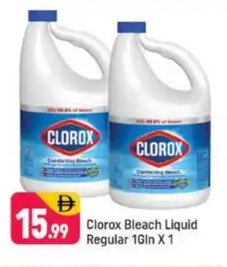 Shaklan CLOROX Bleach offer