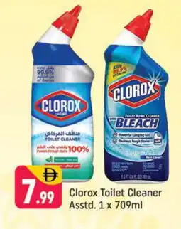 Shaklan CLOROX Toilet / Drain Cleaner offer