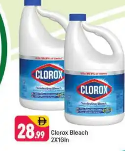 Shaklan CLOROX Bleach offer
