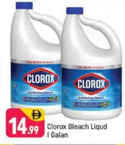 Shaklan CLOROX Bleach offer