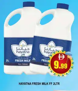 Al Madina HAYATNA Fresh Milk offer