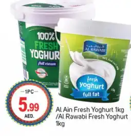 Talal Market AL AIN Yoghurt offer