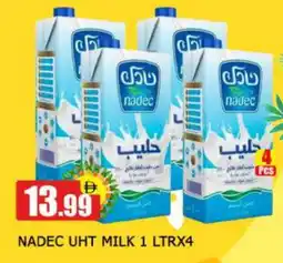 Al Madina NADEC Long Life / UHT Milk offer