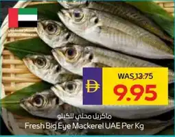 Abu Dhabi Coop Fresh Big Eye Mackerel UAE offer
