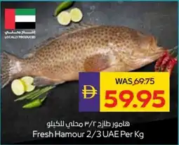 Abu Dhabi Coop Fresh Hamour 2/3 UAE offer