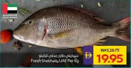 Abu Dhabi Coop Fresh Shekhaily UAE offer