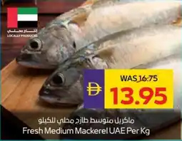 Abu Dhabi Coop Fresh Medium Mackerel UAE offer